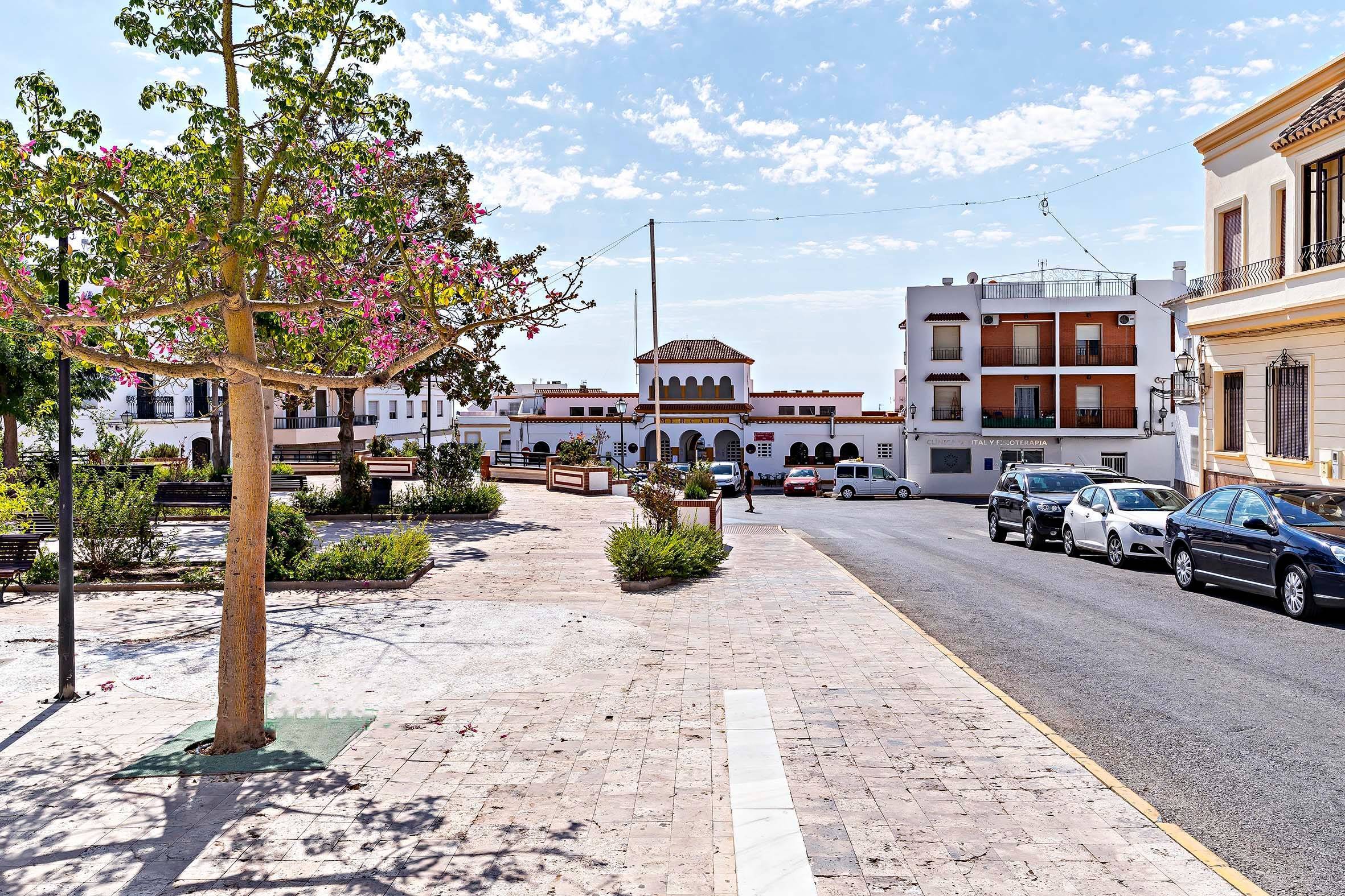 Pisos-Venta-DalÃ­as-1731820-Foto-32