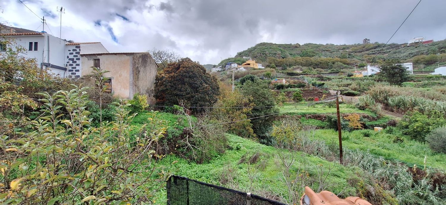 Casas o chalets-Venta-Teror-1030002-Foto-41