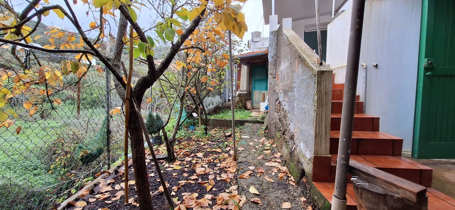 Casas o chalets-Venta-Teror-1030002-Foto-43