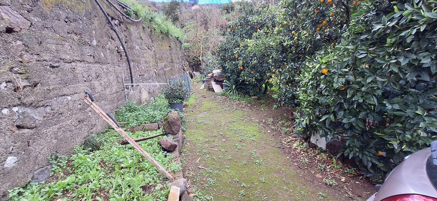 Casas o chalets-Venta-Teror-1030002-Foto-46