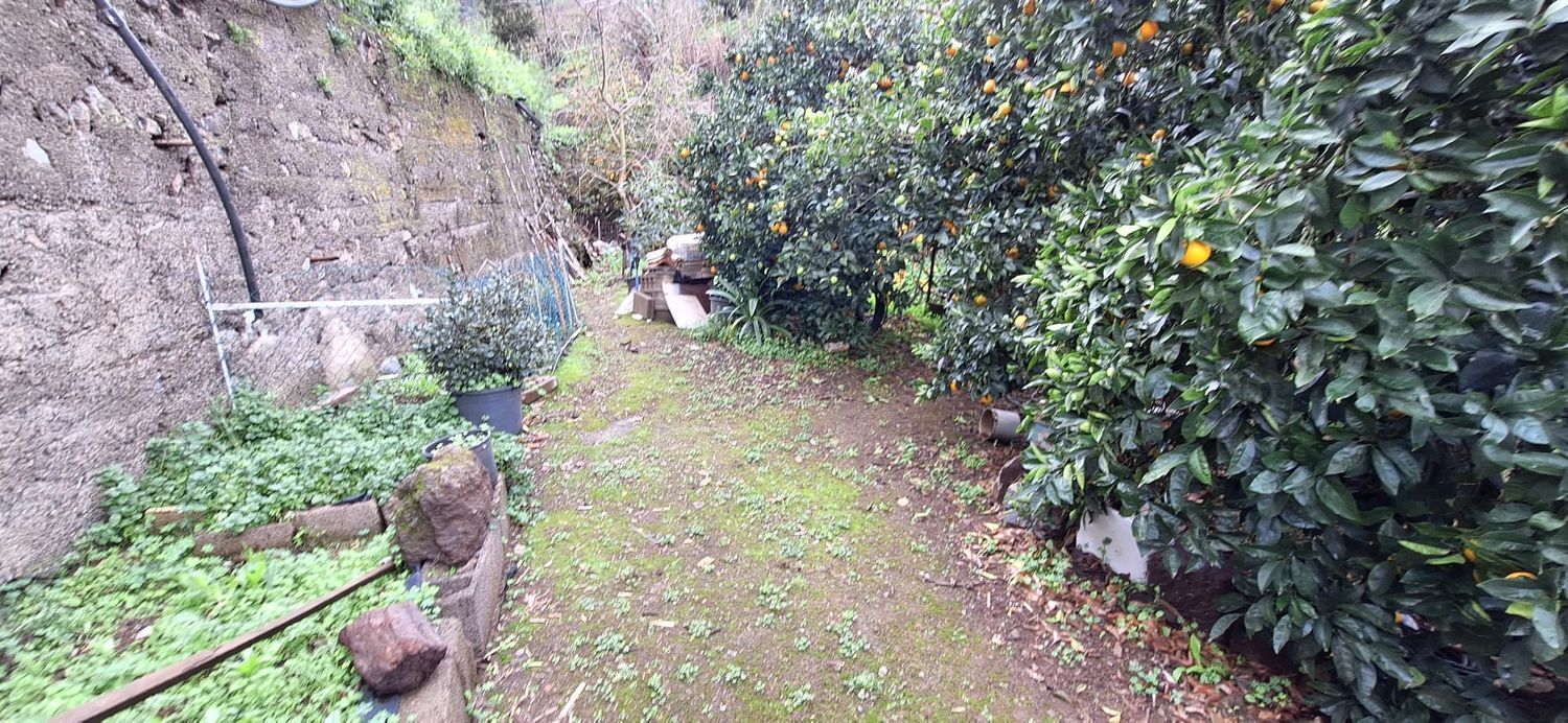 Casas o chalets-Venta-Teror-1030002-Foto-48