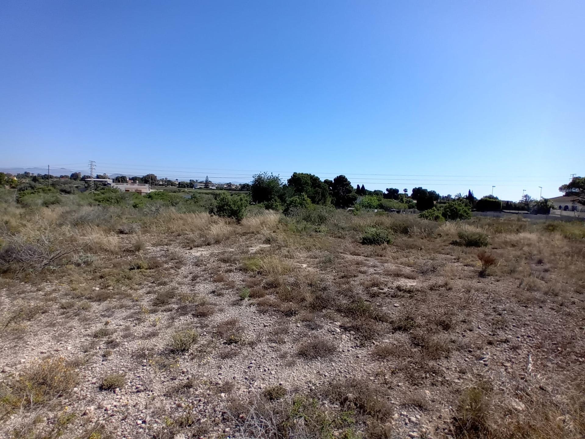 Fincas y solares-Venta-Elche-1734703-Foto-4