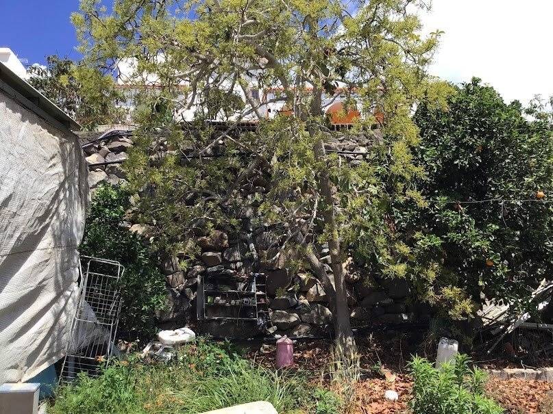 Pisos-Venta-San BartolomÃ© de Tirajana-1732358-Foto-78