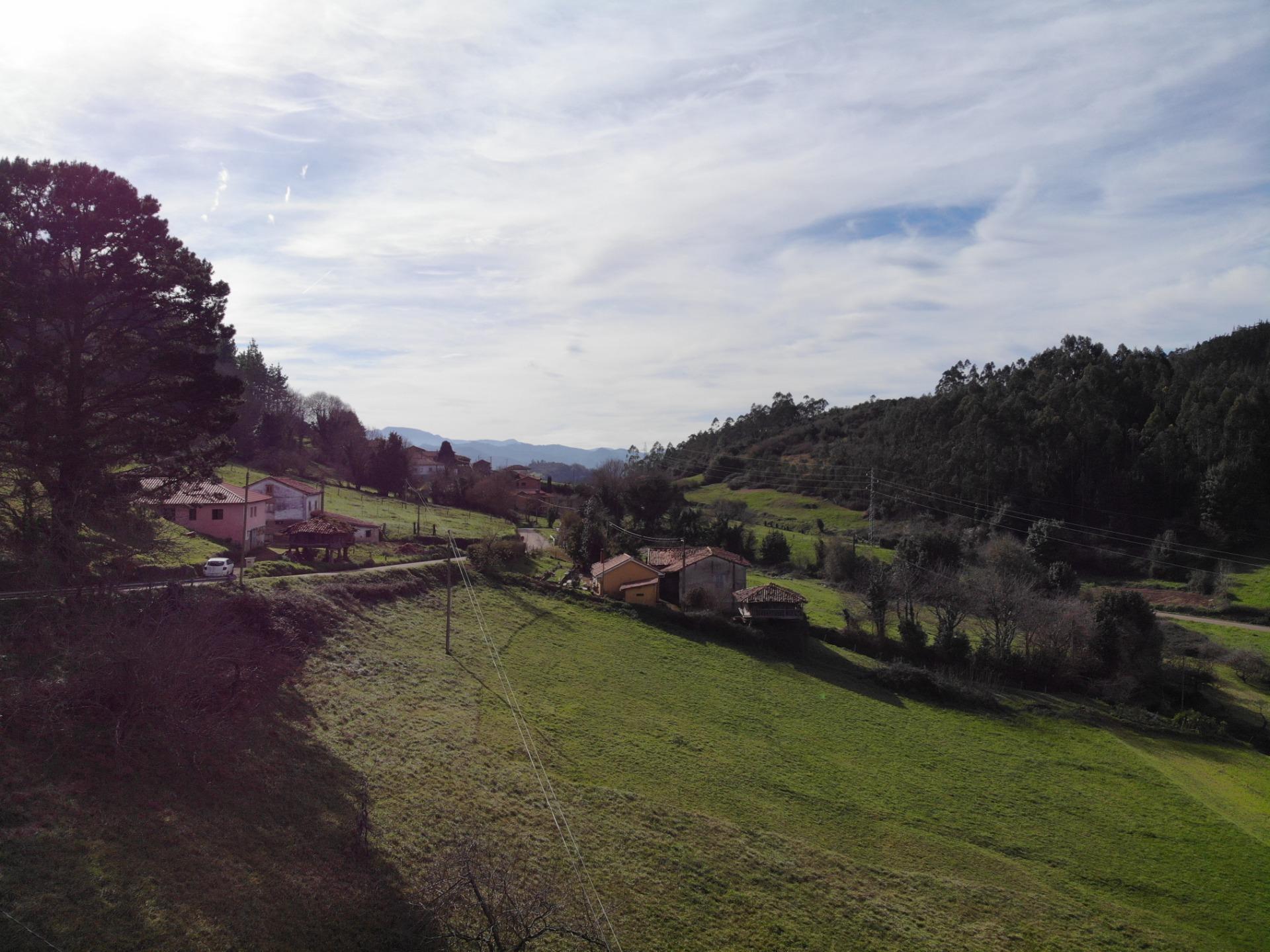 Fincas y solares-Venta-Candamo-1061489