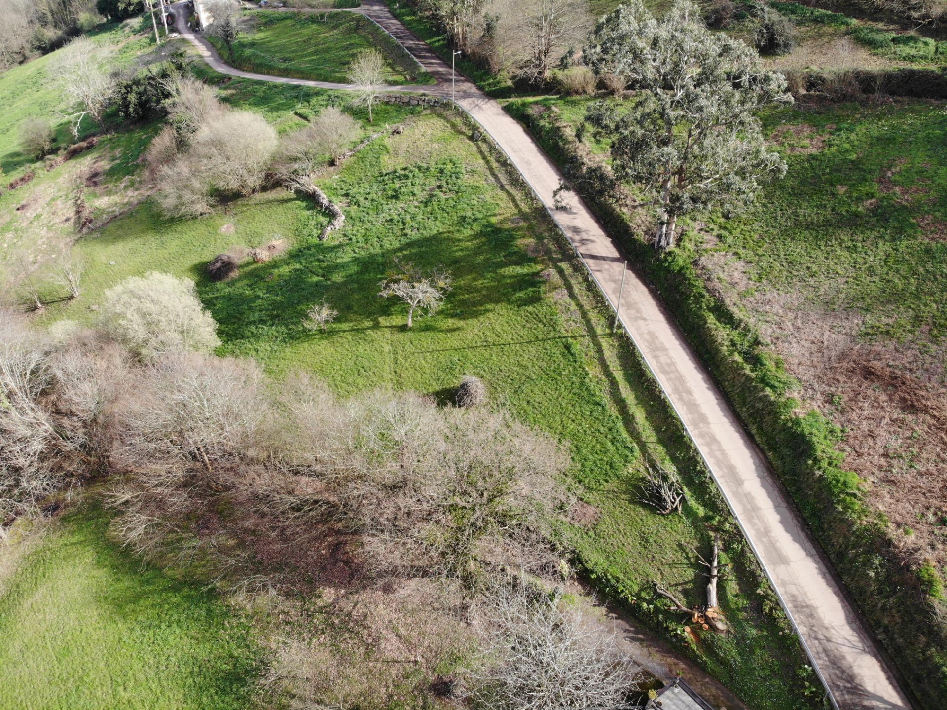 Fincas y solares-Venta-Candamo-1061489-Foto-5