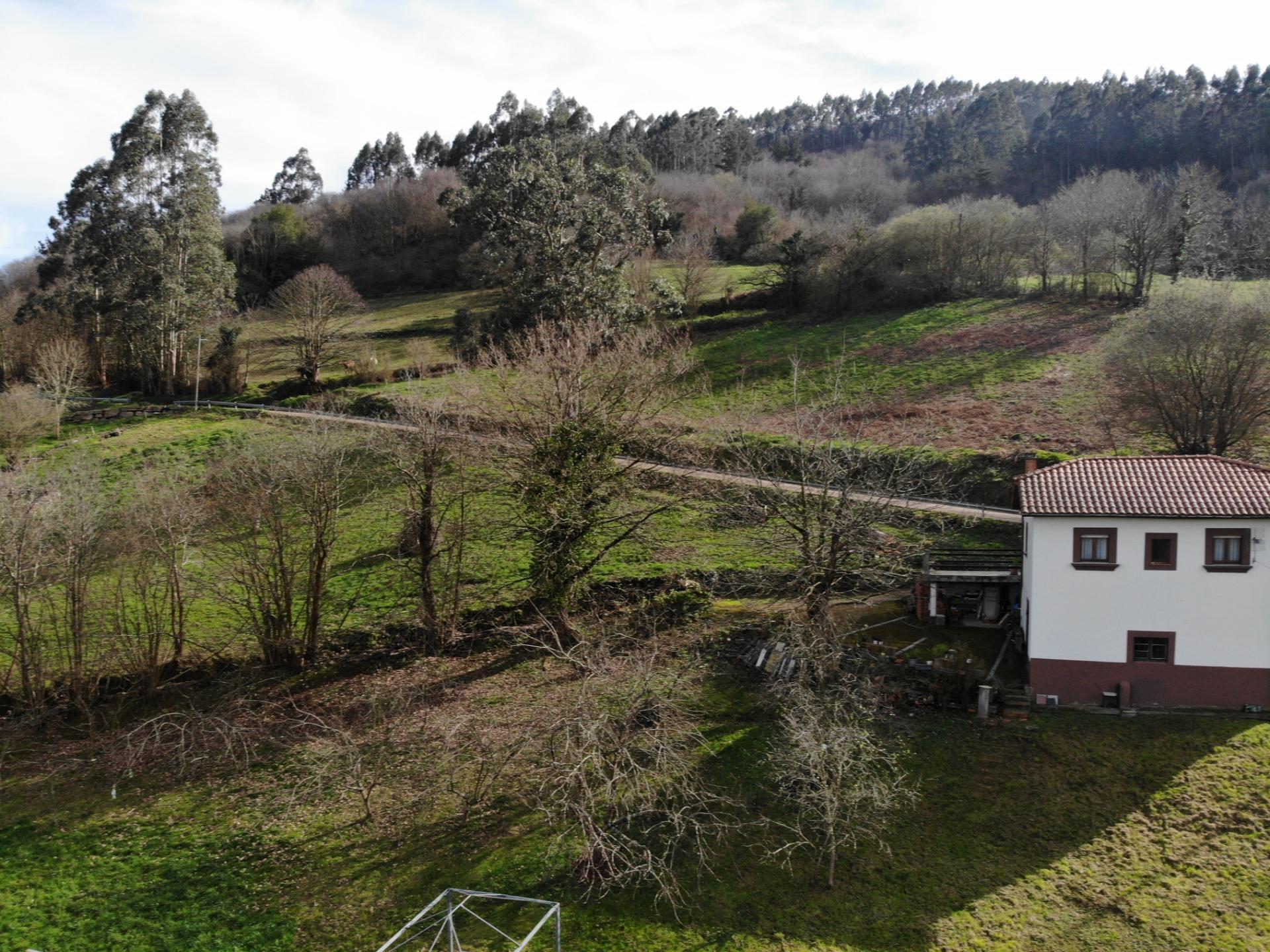 Fincas y solares-Venta-Candamo-1061489-Foto-3