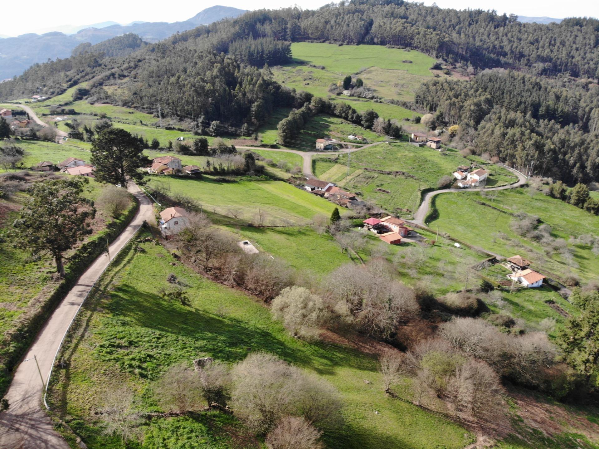 Fincas y solares-Venta-Candamo-1061489-Foto-9