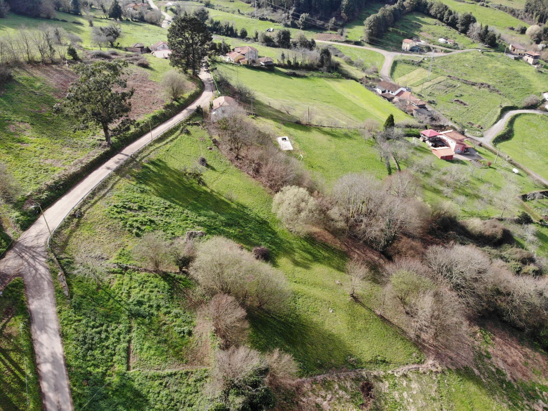 Fincas y solares-Venta-Candamo-1061489-Foto-8