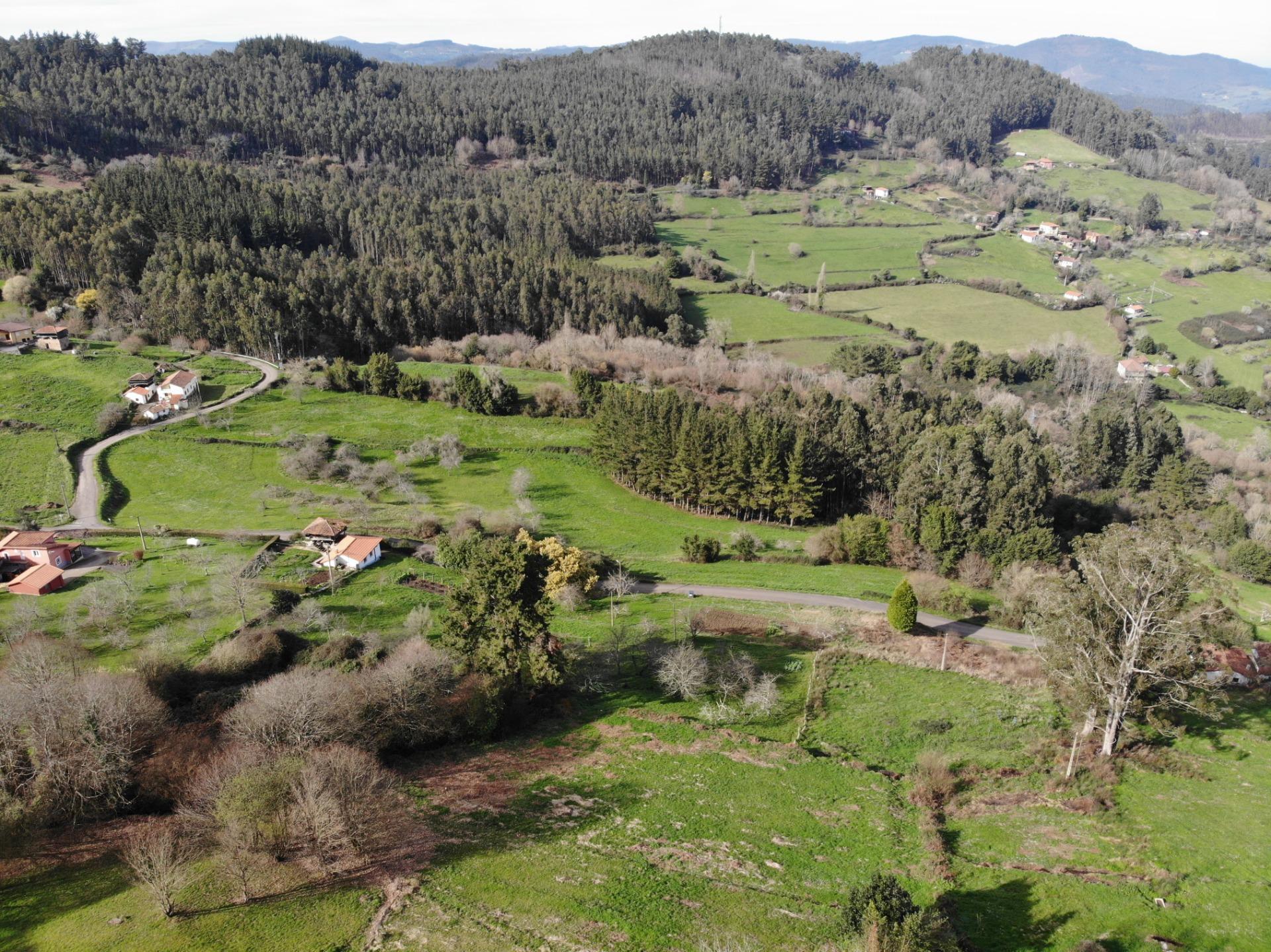 Fincas y solares-Venta-Candamo-1061489-Foto-11