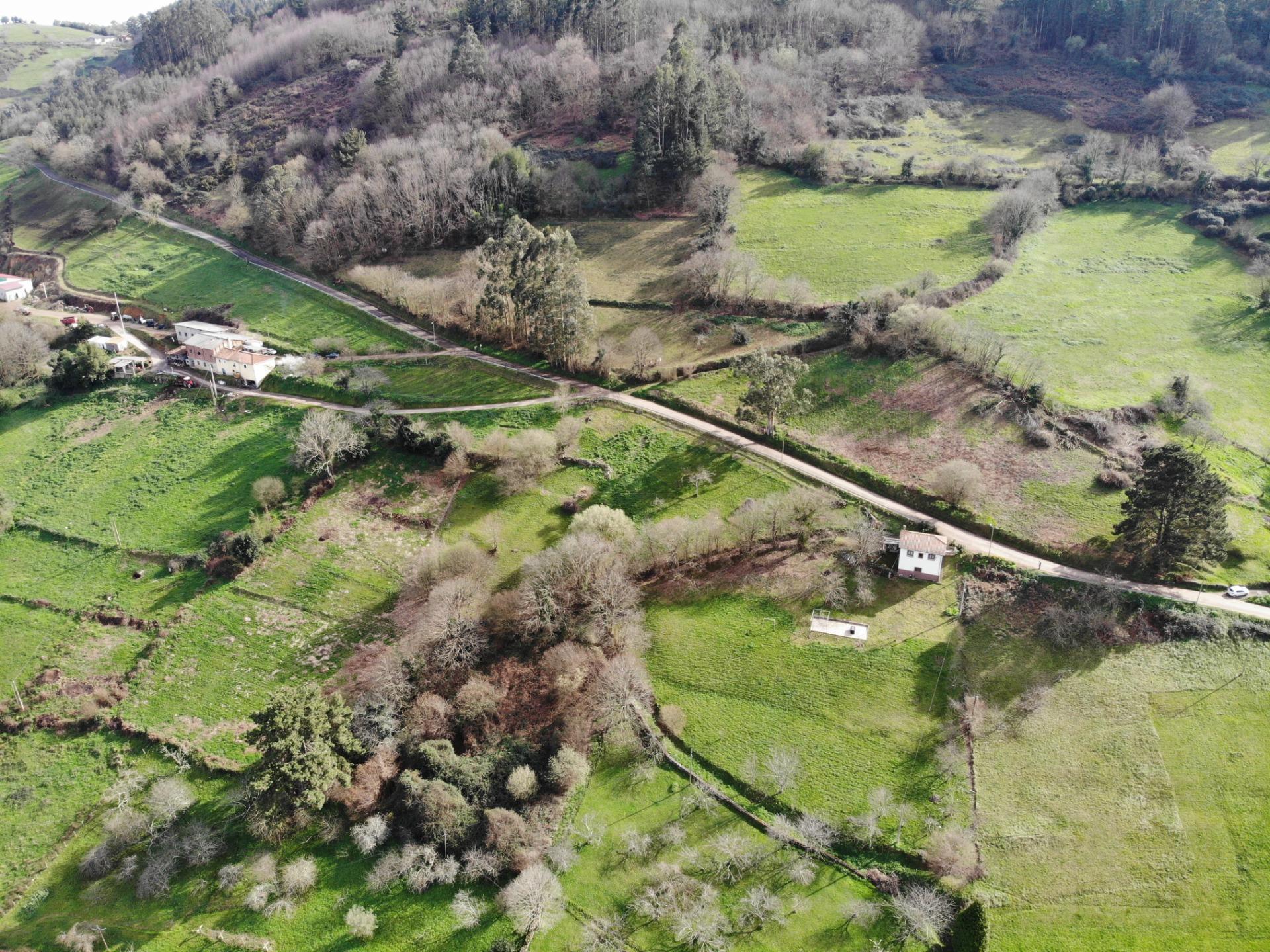 Fincas y solares-Venta-Candamo-1061489-Foto-15