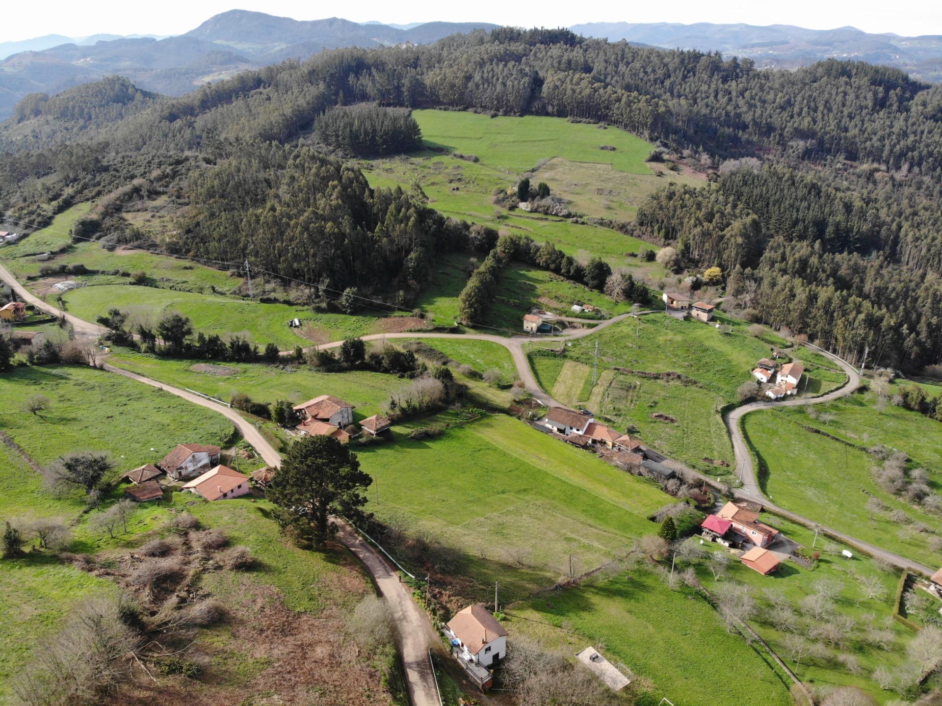 Fincas y solares-Venta-Candamo-1061489-Foto-17