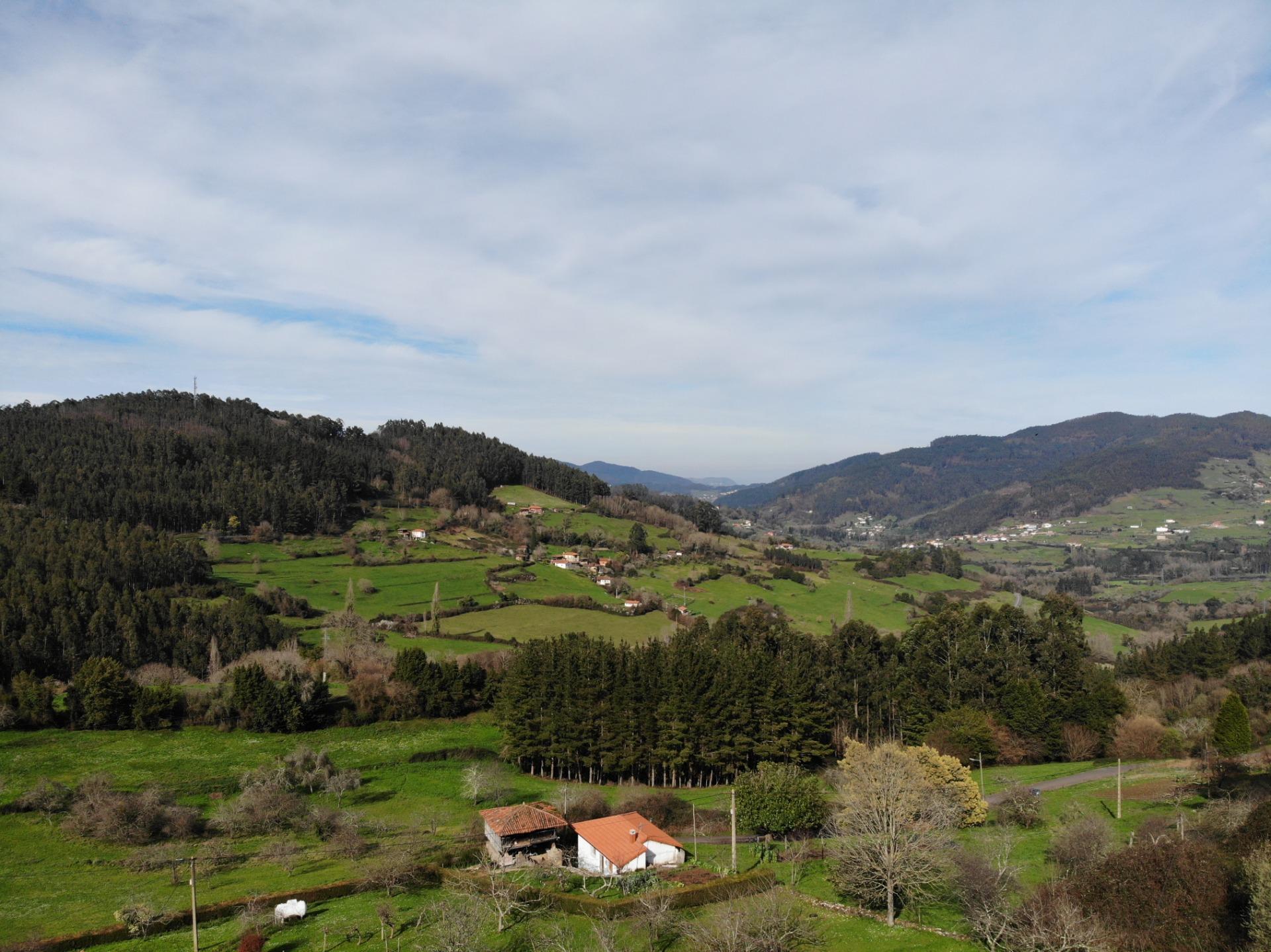 Fincas y solares-Venta-Candamo-1061489-Foto-23