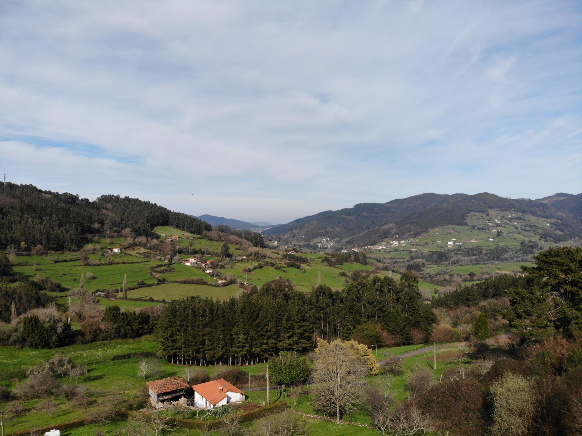 Fincas y solares-Venta-Candamo-1061489-Foto-21