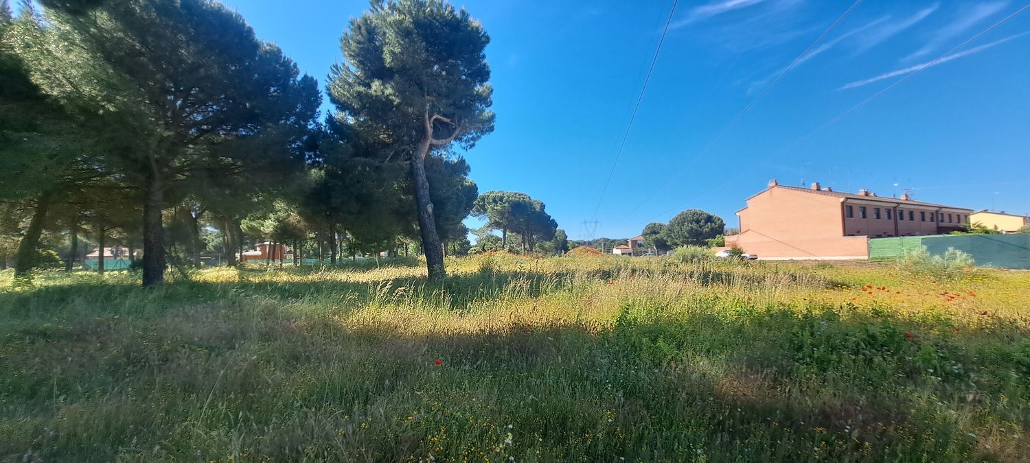 Fincas y solares-Venta-Laguna de Duero-1734169-Foto-13