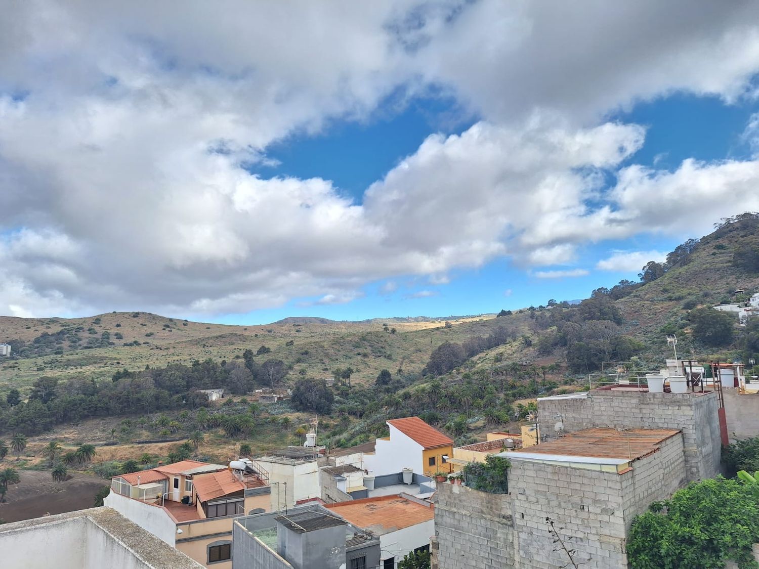Casas o chalets-Venta-Las Palmas de Gran Canaria-1685187-Foto-42