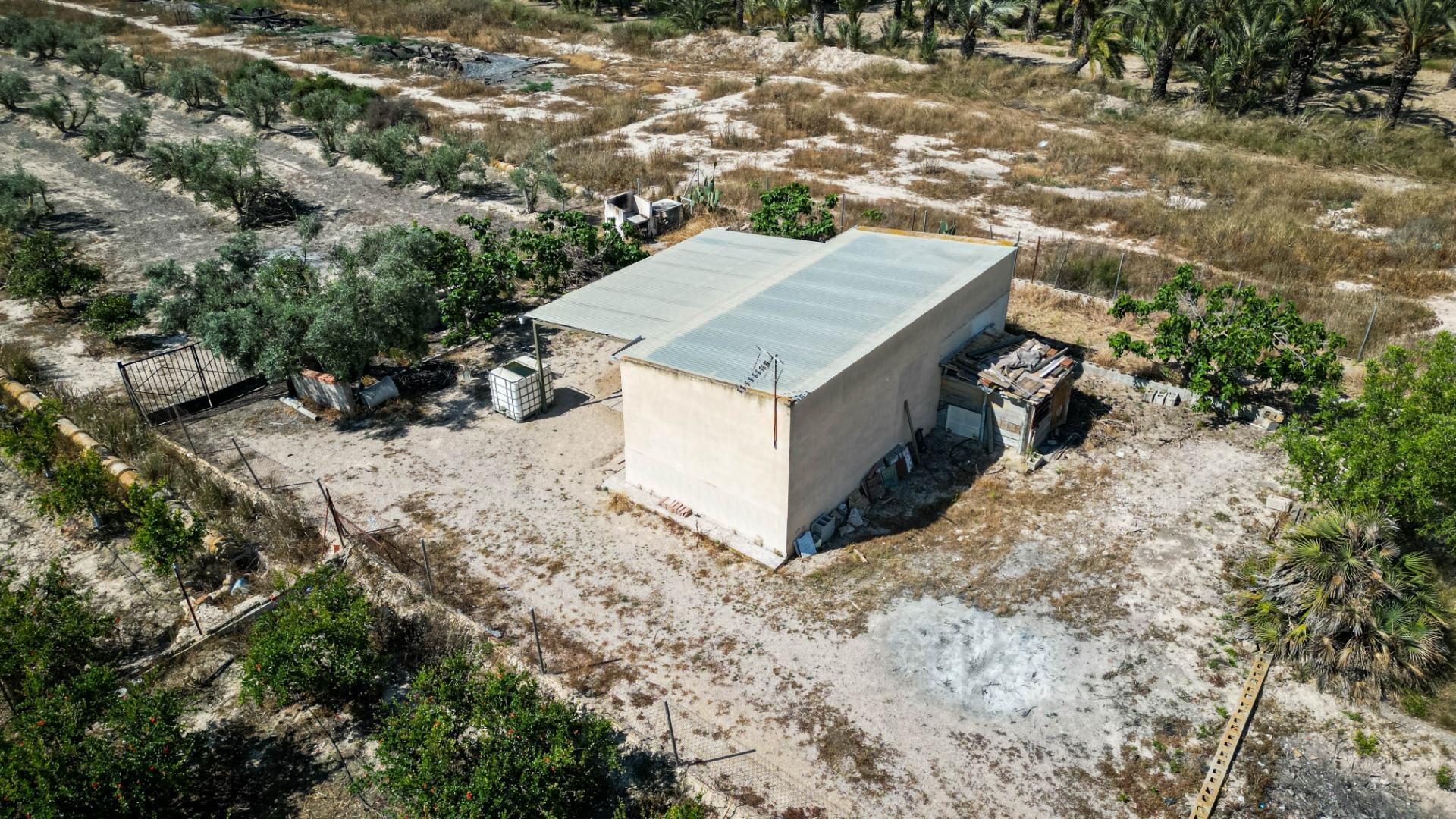 Fincas y solares-Venta-Crevillent-1734199-Foto-9