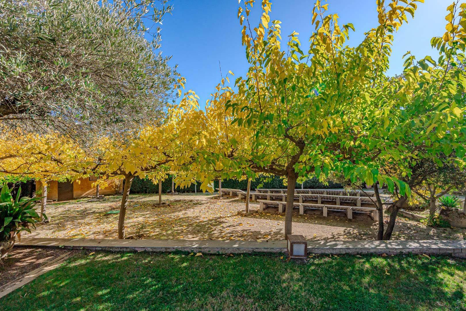 Casas o chalets-Venta-Las Rozas de Madrid-1710273-Foto-54