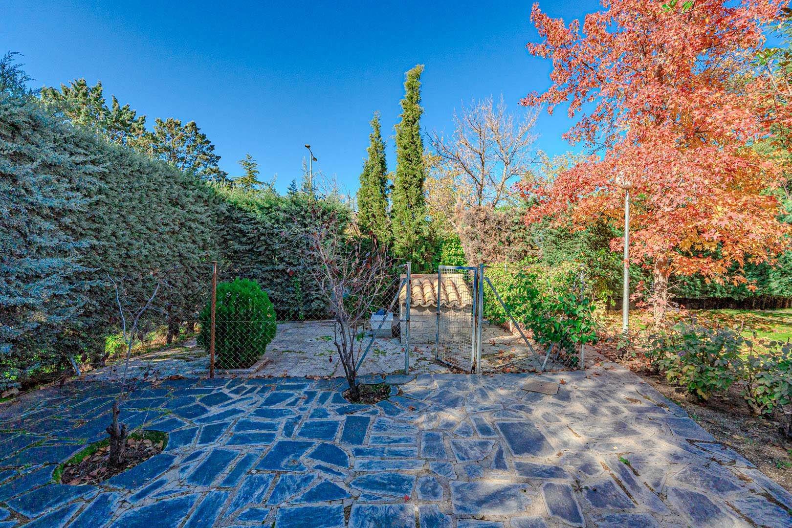 Casas o chalets-Venta-Las Rozas de Madrid-1710273-Foto-62