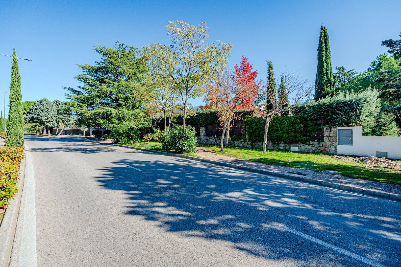 Casas o chalets-Venta-Las Rozas de Madrid-1710273-Foto-93