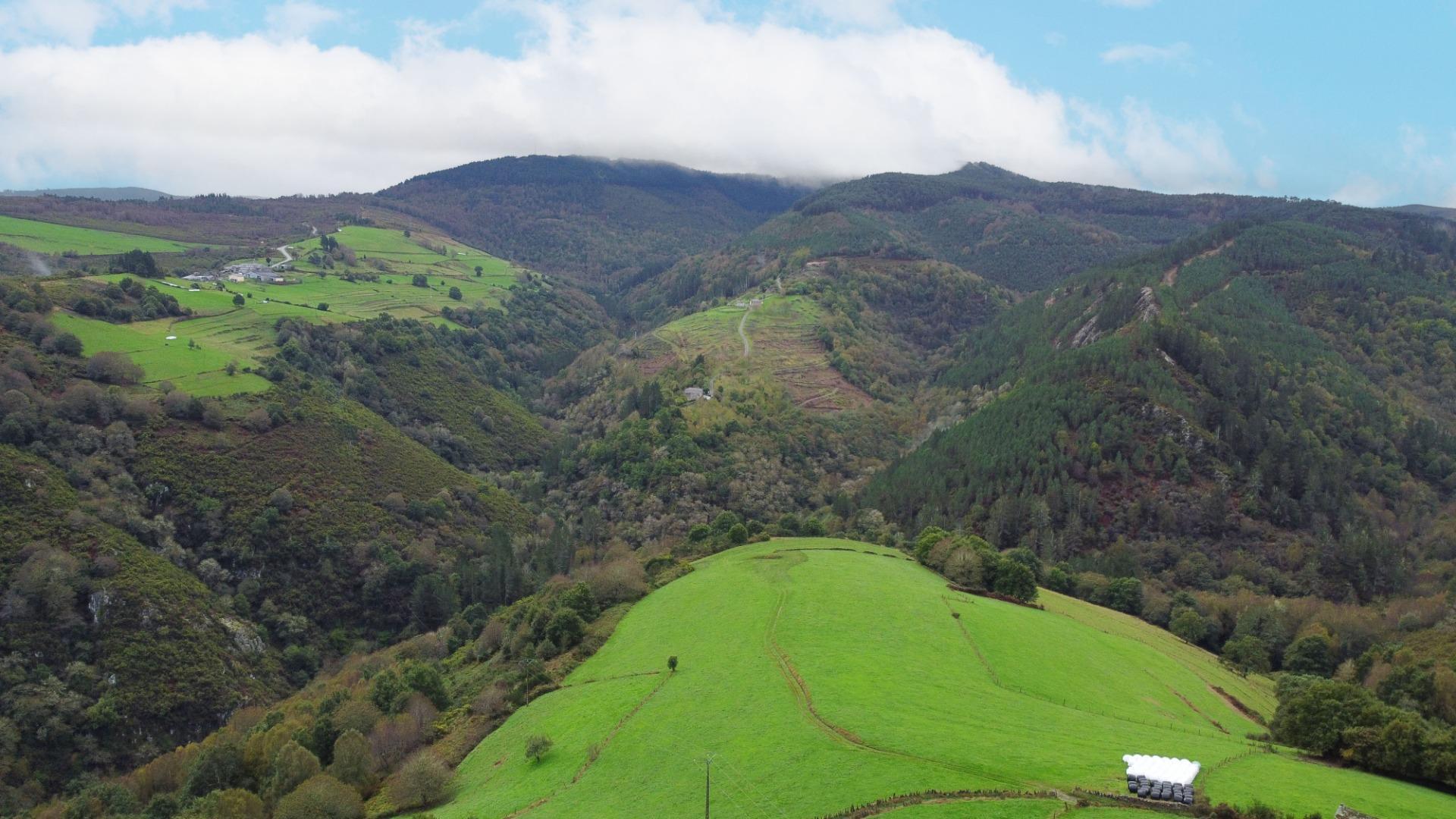 Casas o chalets-Venta-Grandas de Salime-1480228-Foto-26