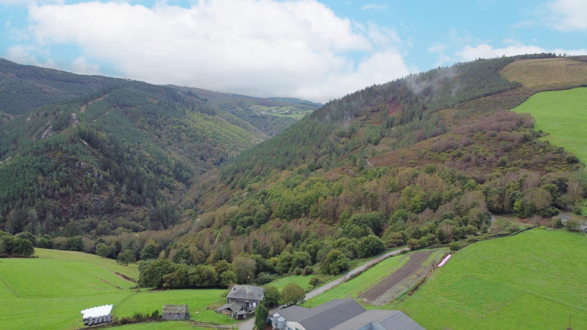 Casas o chalets-Venta-Grandas de Salime-1480228-Foto-27