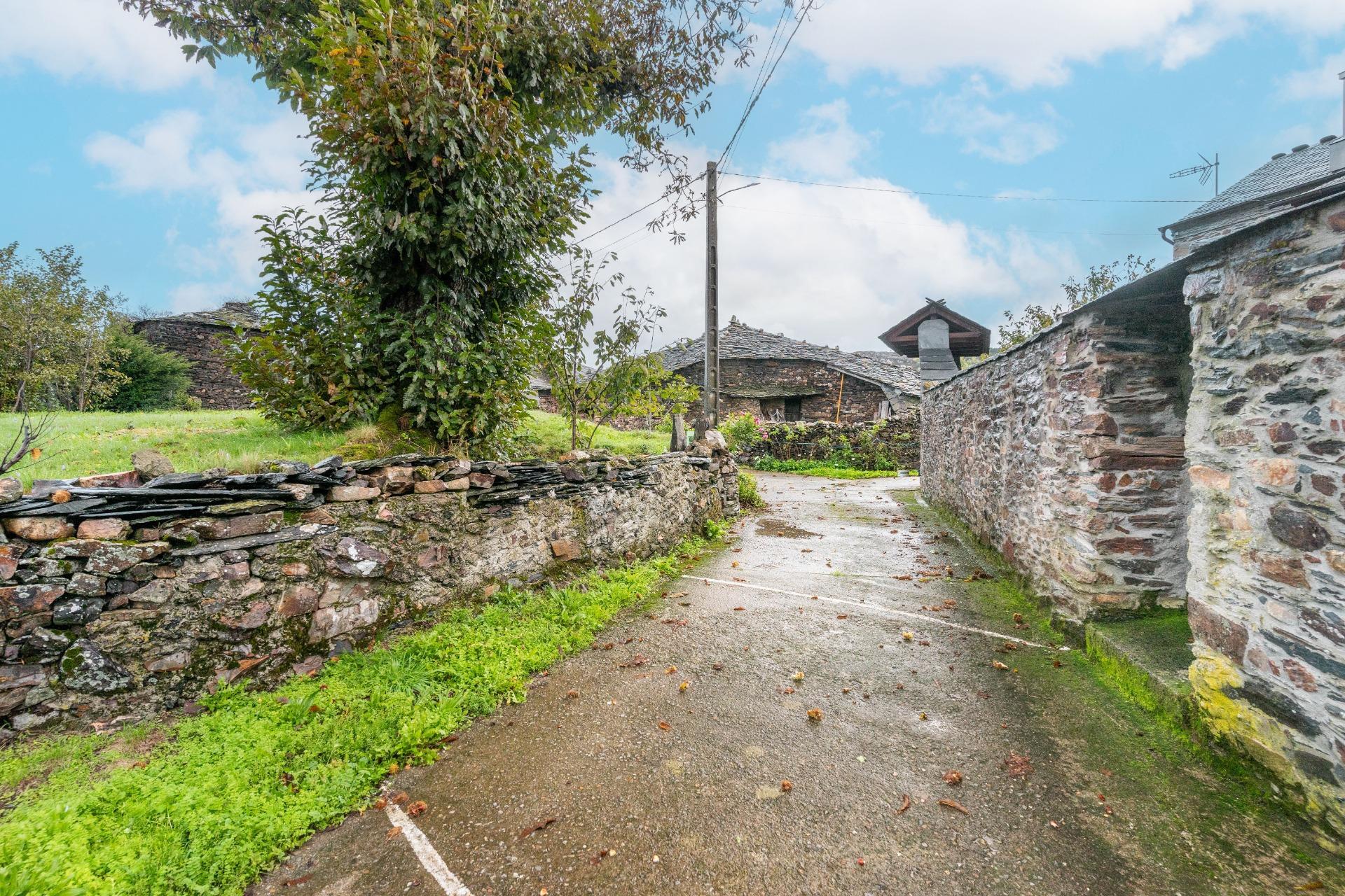 Casas o chalets-Venta-Grandas de Salime-1480228-Foto-31