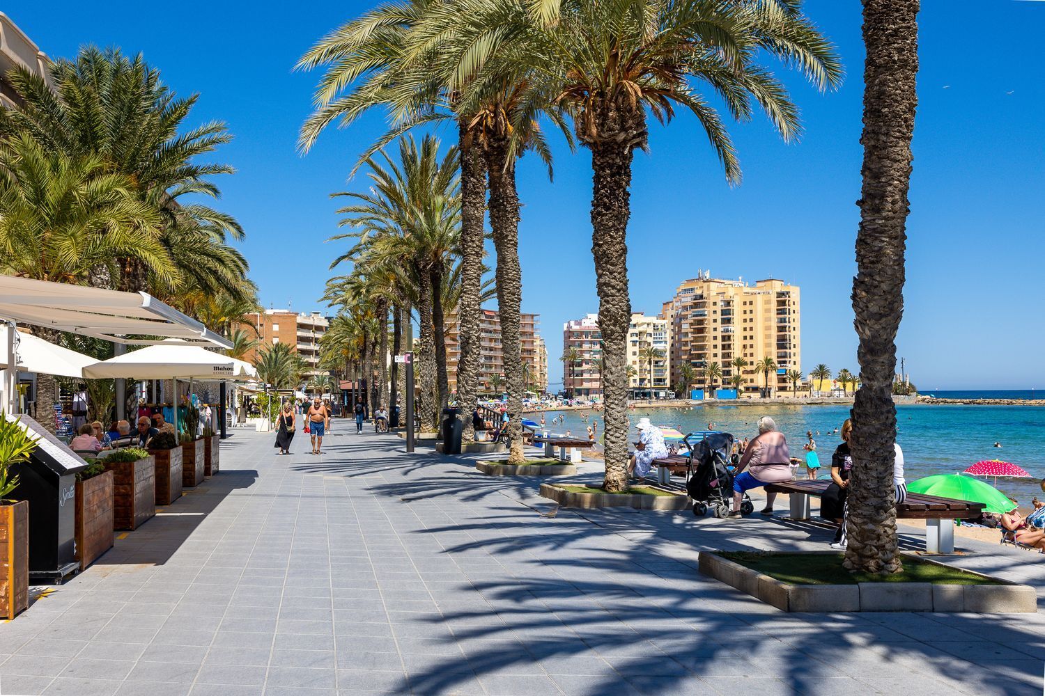 Pisos-Venta-Torrevieja-1734685-Foto-47