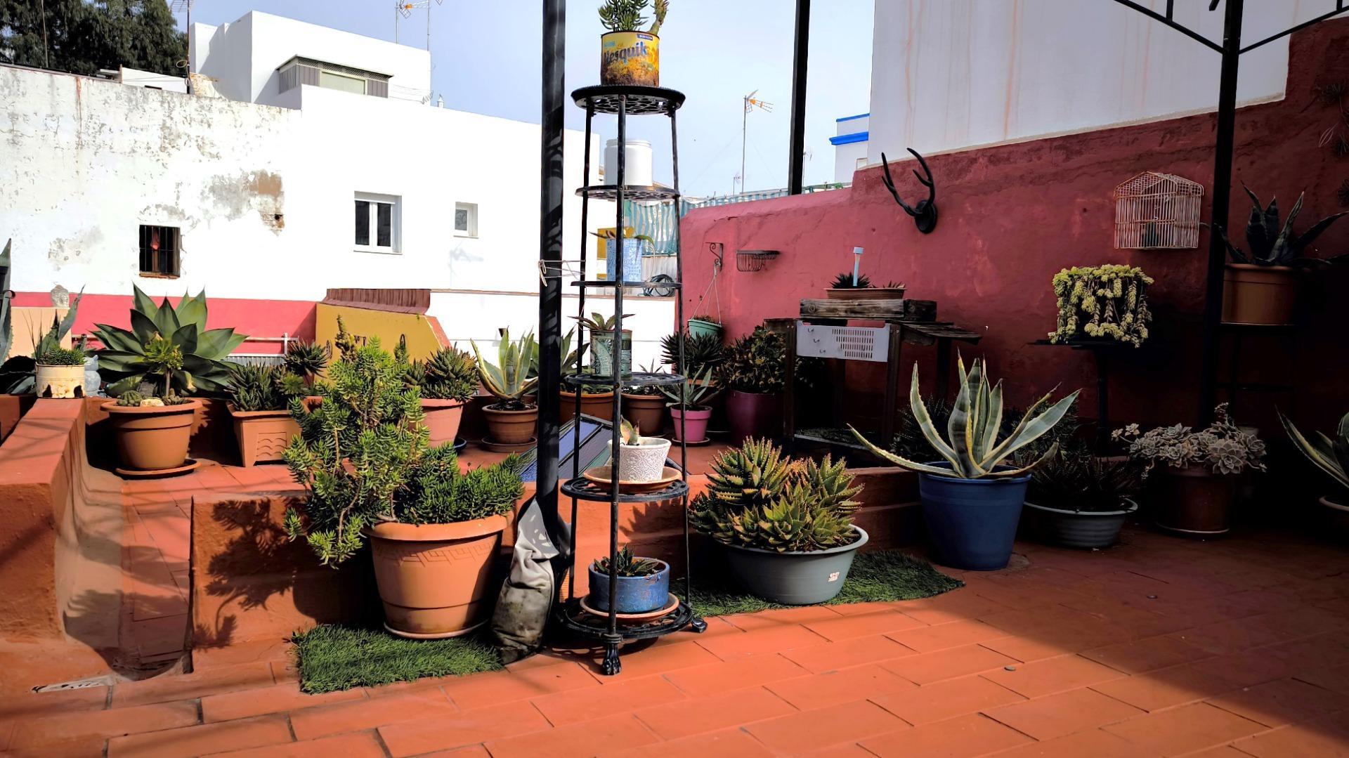 Casas o chalets-Venta-Ayamonte-1683057-Foto-43