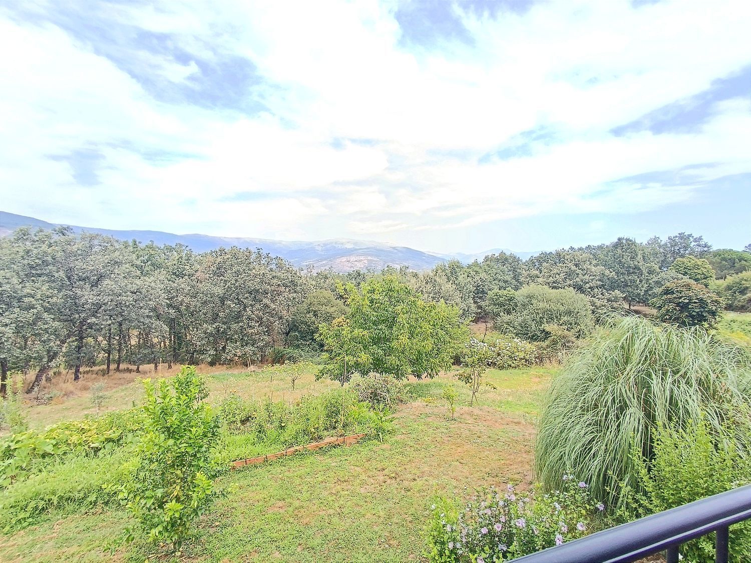 Propiedad en venta en Cáceres, Jaraiz de la Vera