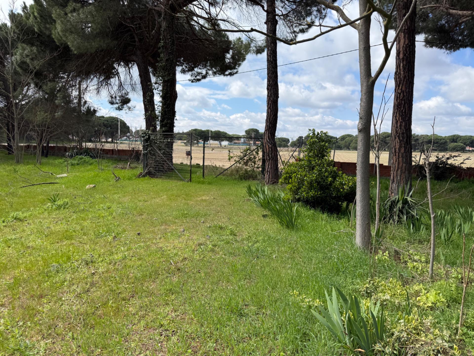 Casas o chalets-Venta-Laguna de Duero-1743059-Foto-28