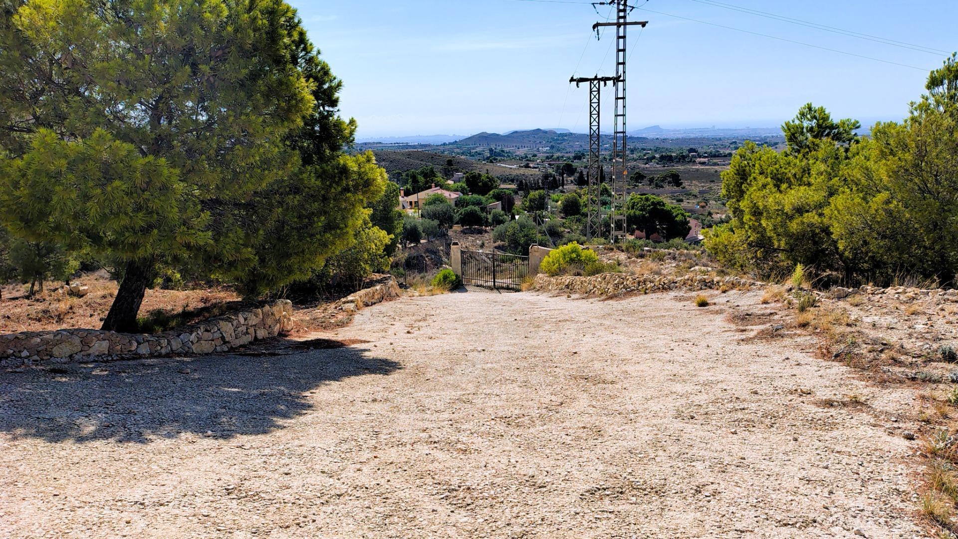 Fincas y solares-Venta-San Vicente del Raspeig-1094529-Foto-7