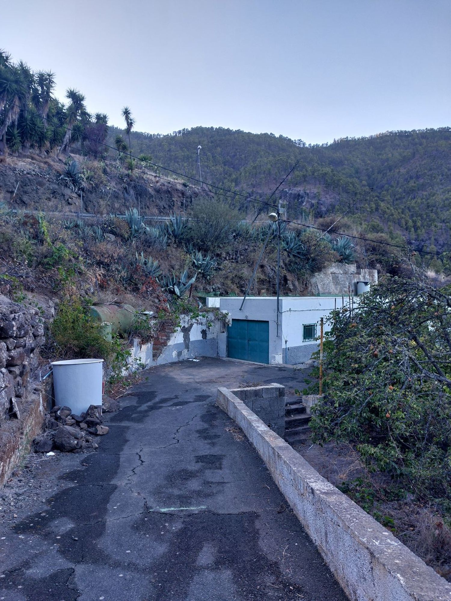 Casas o chalets-Venta-Artenara-1508571-Foto-16