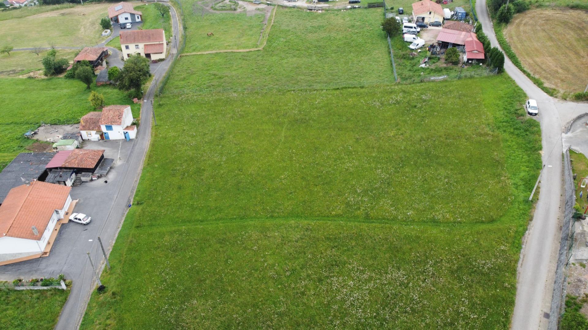 Fincas y solares-Venta-CarreÃ±o-1744141-Foto-3