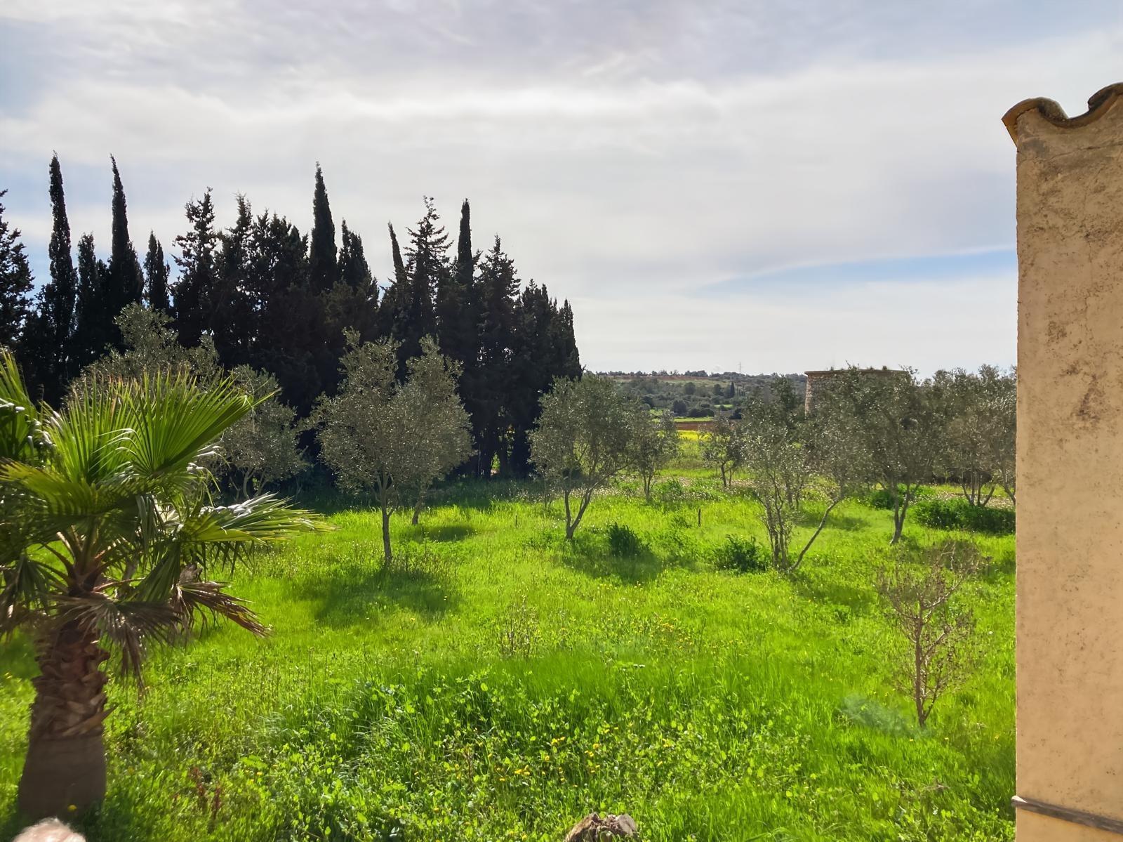 Pisos-Venta-Muro de Alcoy-1683627-Foto-12