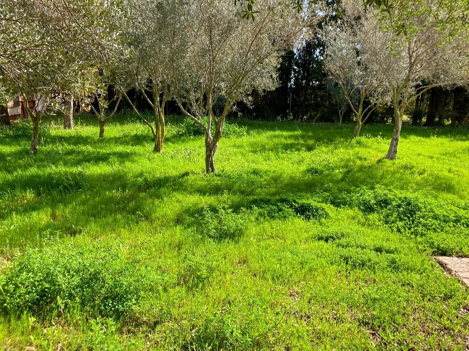 Pisos-Venta-Muro de Alcoy-1683627-Foto-15