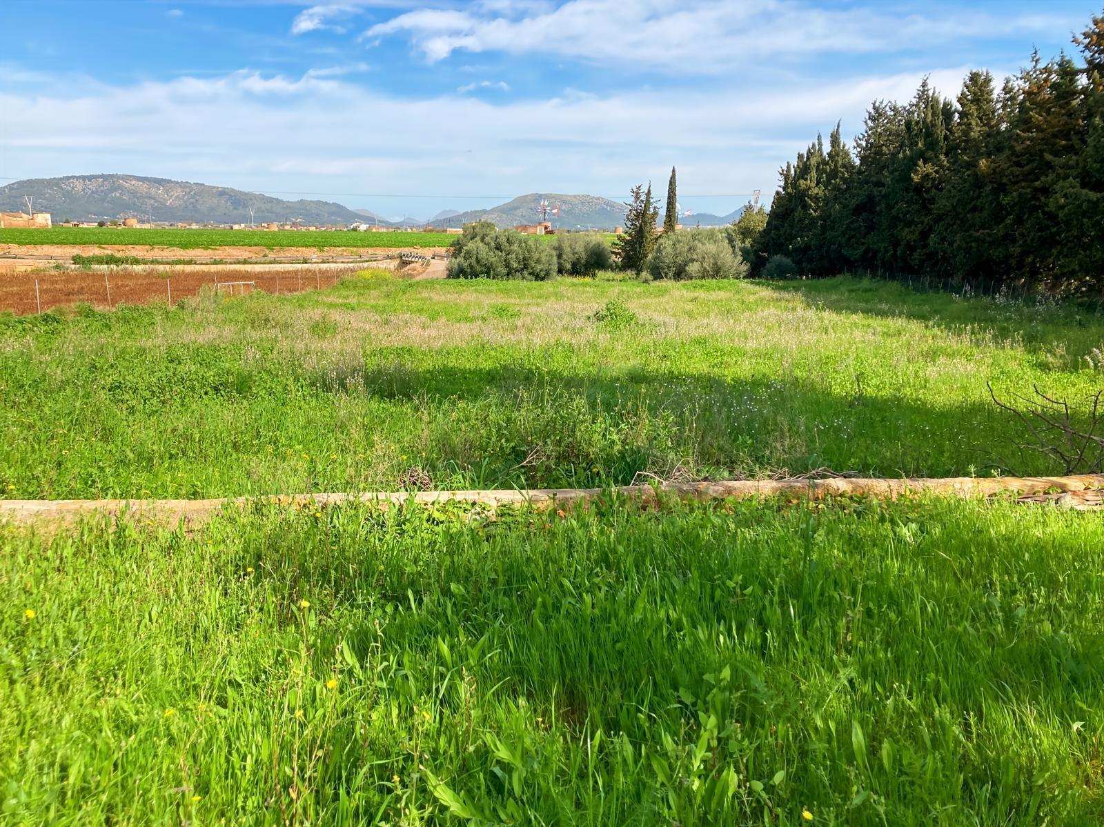 Pisos-Venta-Muro de Alcoy-1683627-Foto-18