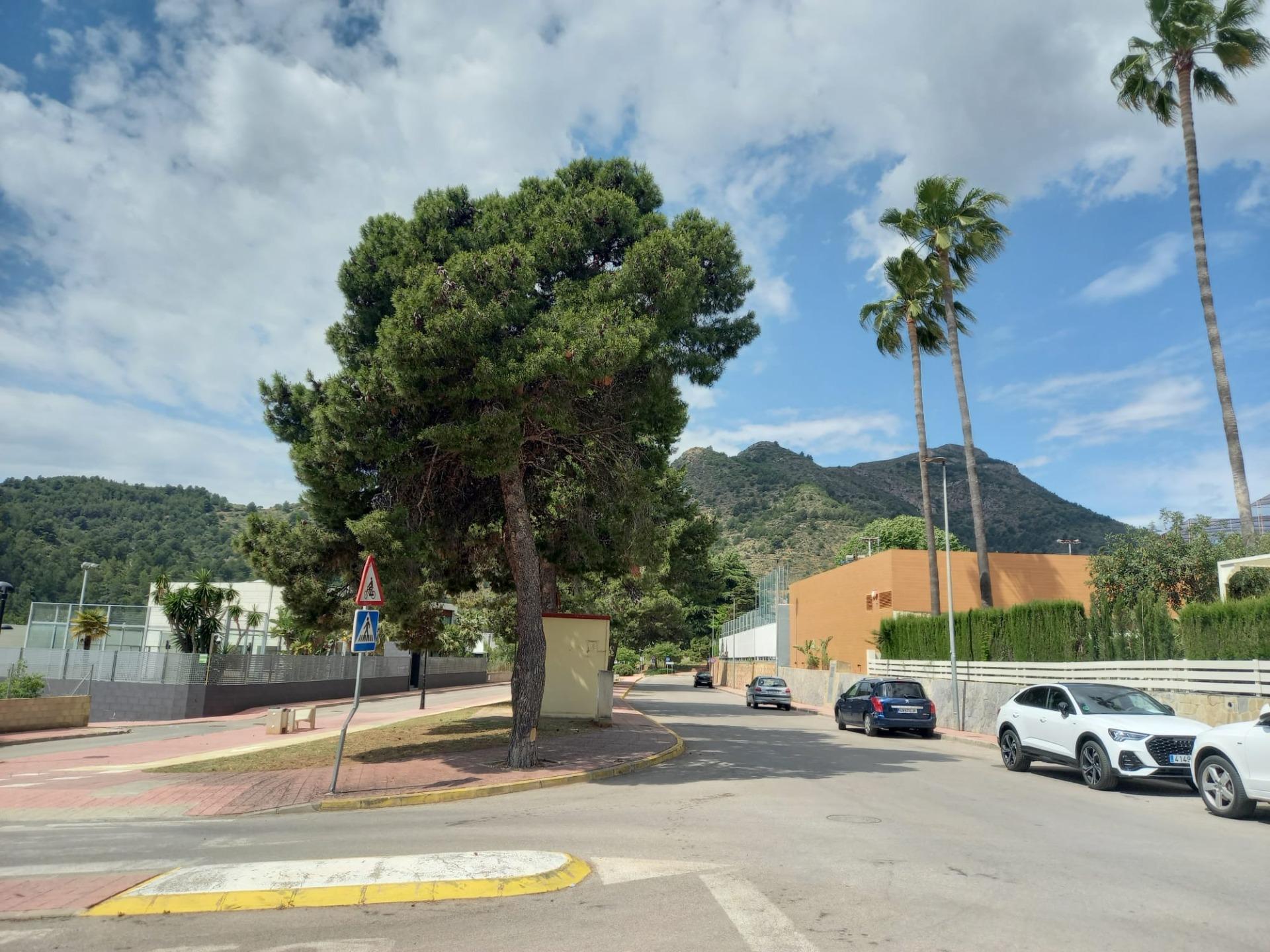 Fincas y solares-Venta-La Vall de Uixo-1841351-Foto-12