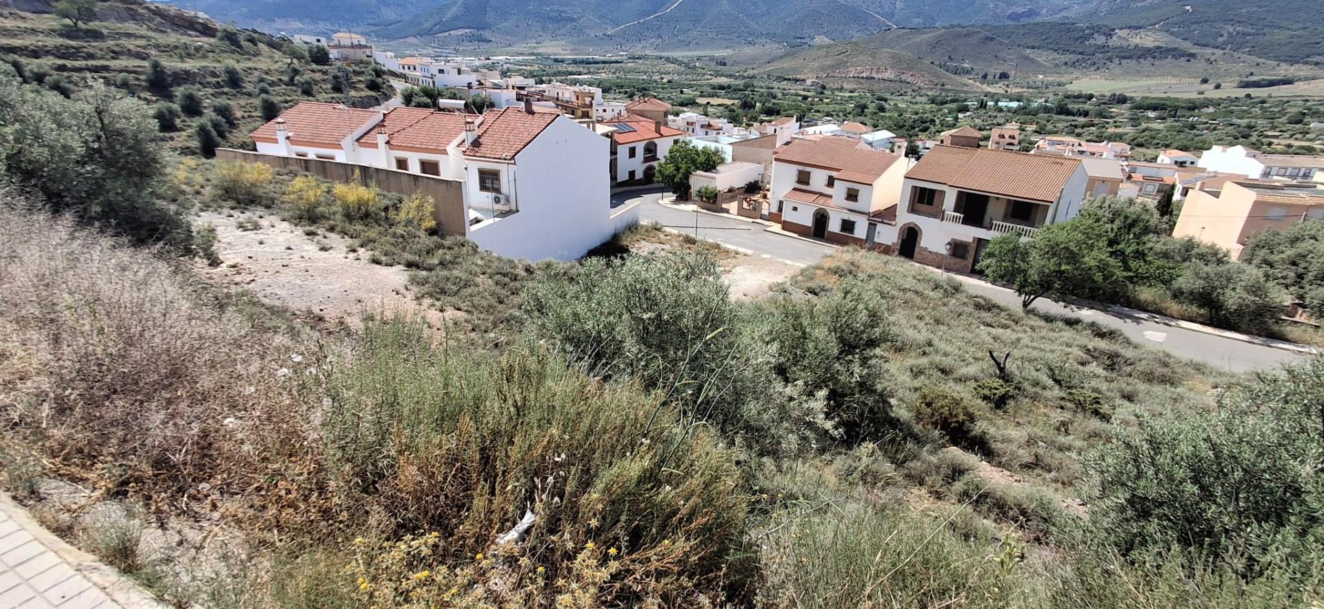 Fincas y solares-Venta-LÃ¡ujar de Andarax-1746156-Foto-27