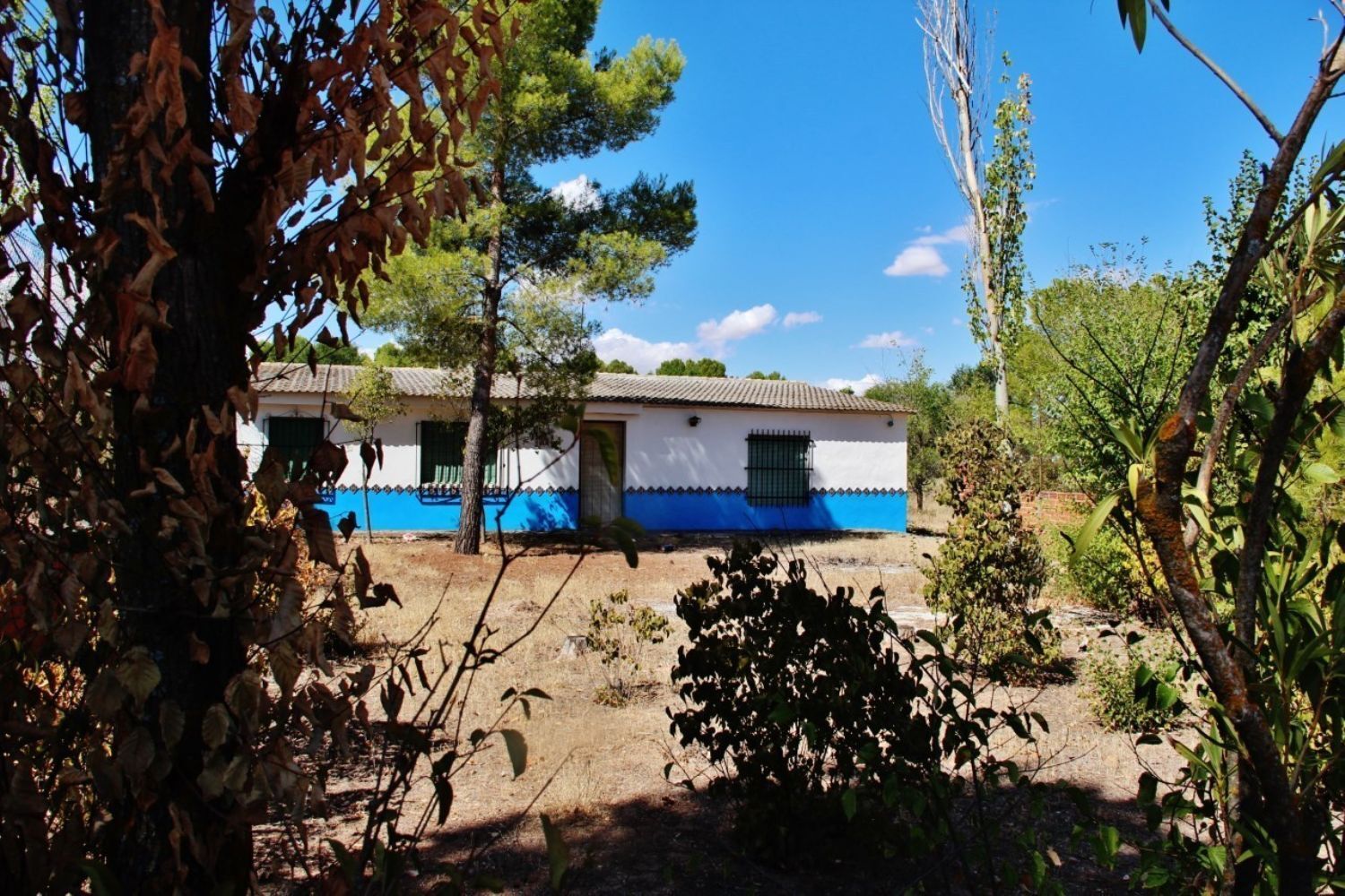 Pisos-Venta-Villafranca de los Caballeros-1021009-Foto-4
