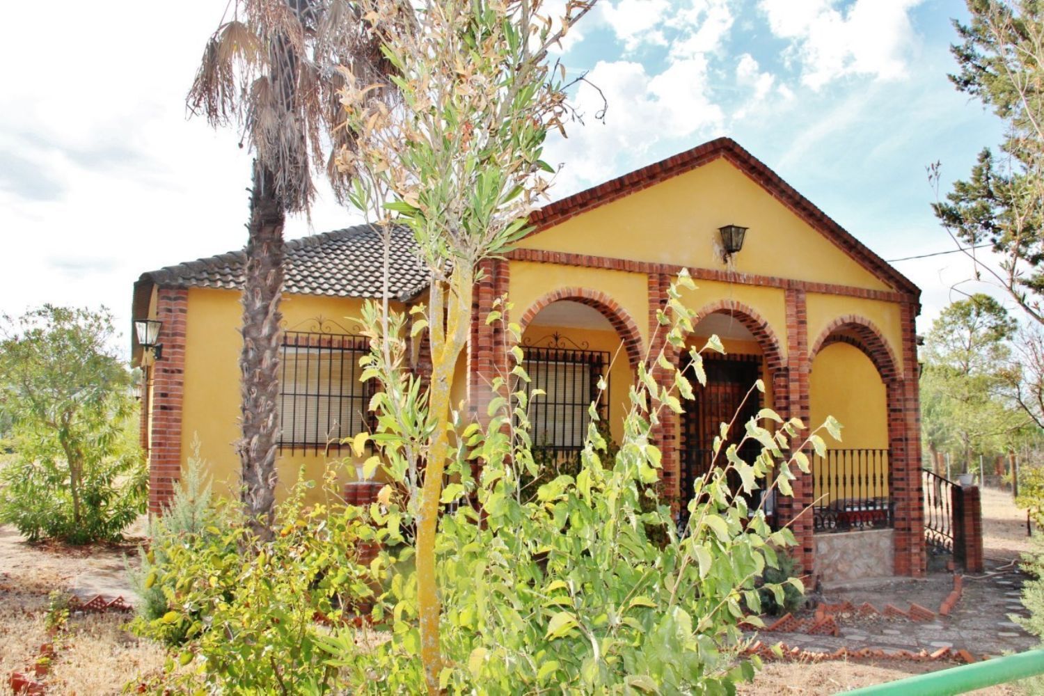 Pisos-Venta-Villafranca de los Caballeros-1021009-Foto-7