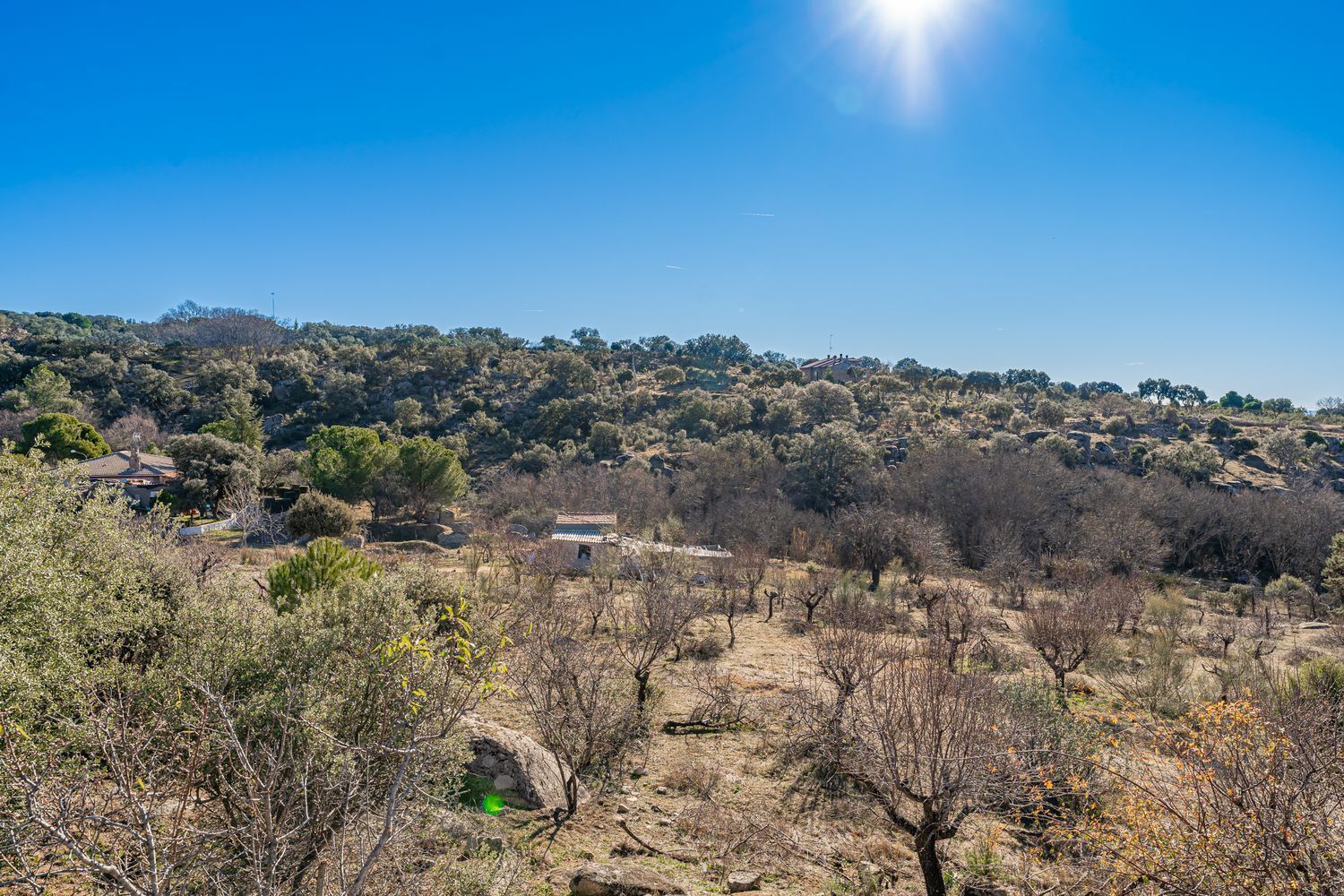 Casas o chalets-Venta-Valdemorillo-1020978-Foto-3