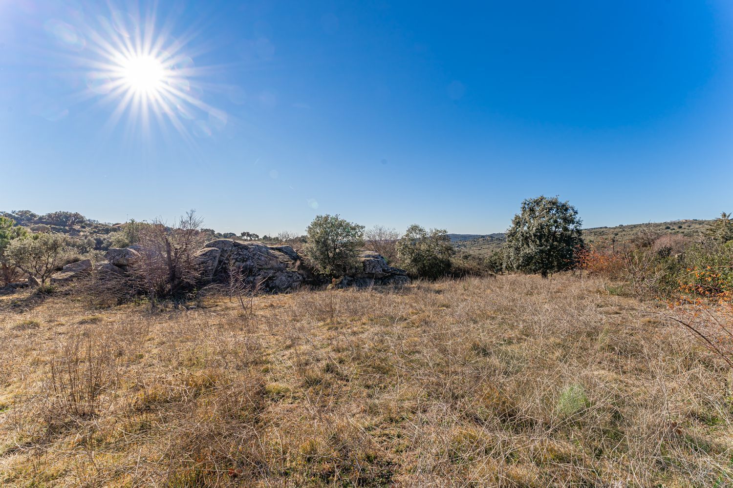 Casas o chalets-Venta-Valdemorillo-1020978-Foto-30