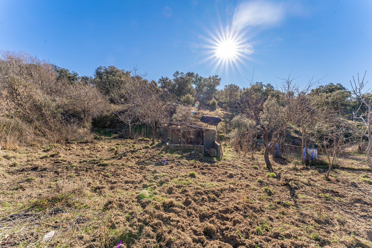 Casas o chalets-Venta-Valdemorillo-1020978-Foto-33