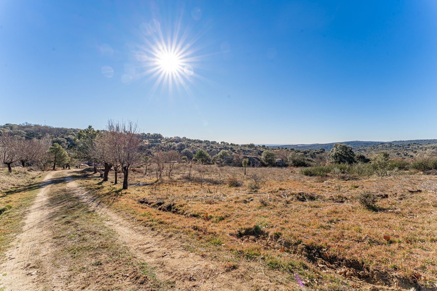 Casas o chalets-Venta-Valdemorillo-1020978-Foto-28