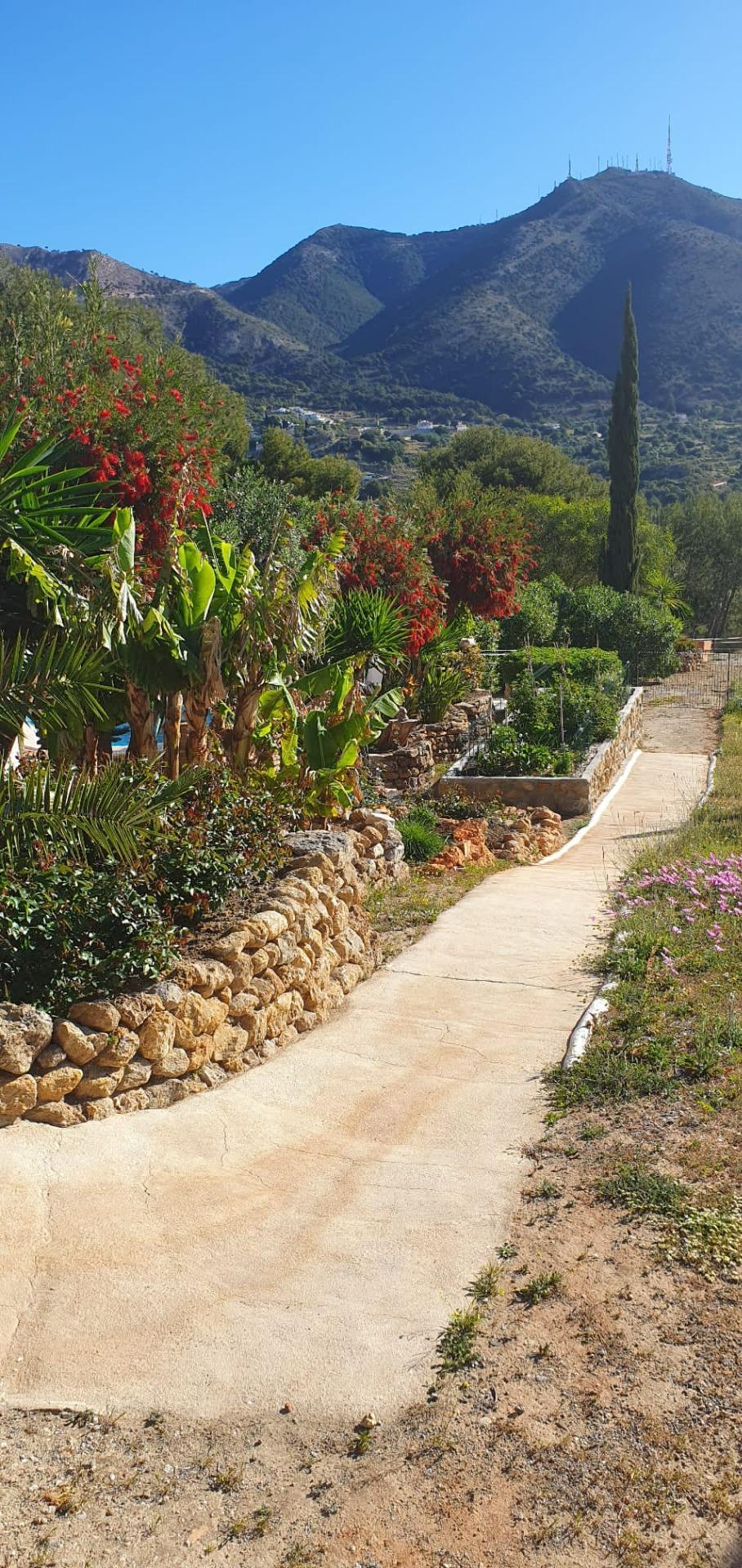 Casas o chalets-Venta-Mijas-1064391-Foto-61