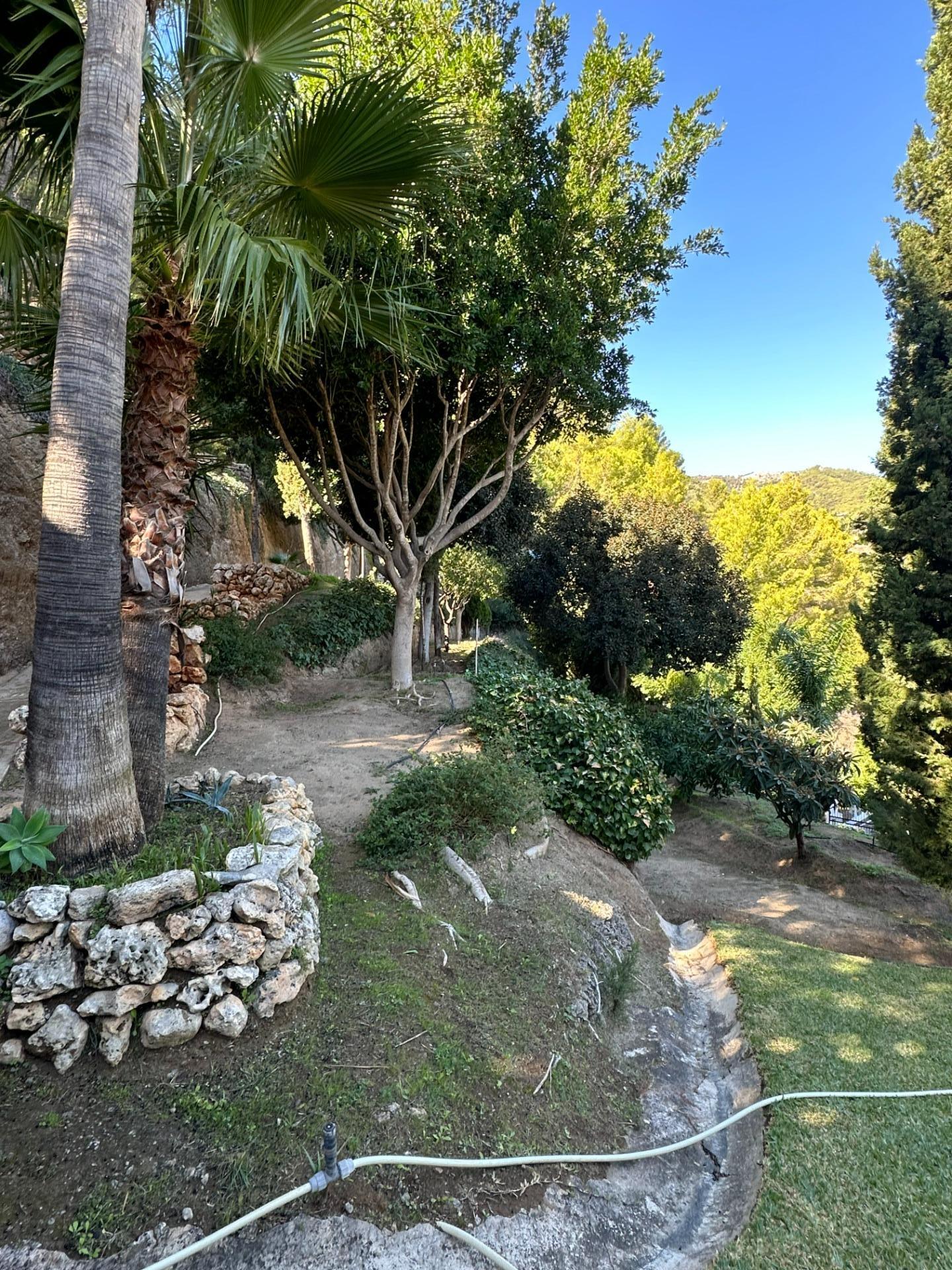 Casas o chalets-Venta-Mijas-1064391-Foto-62