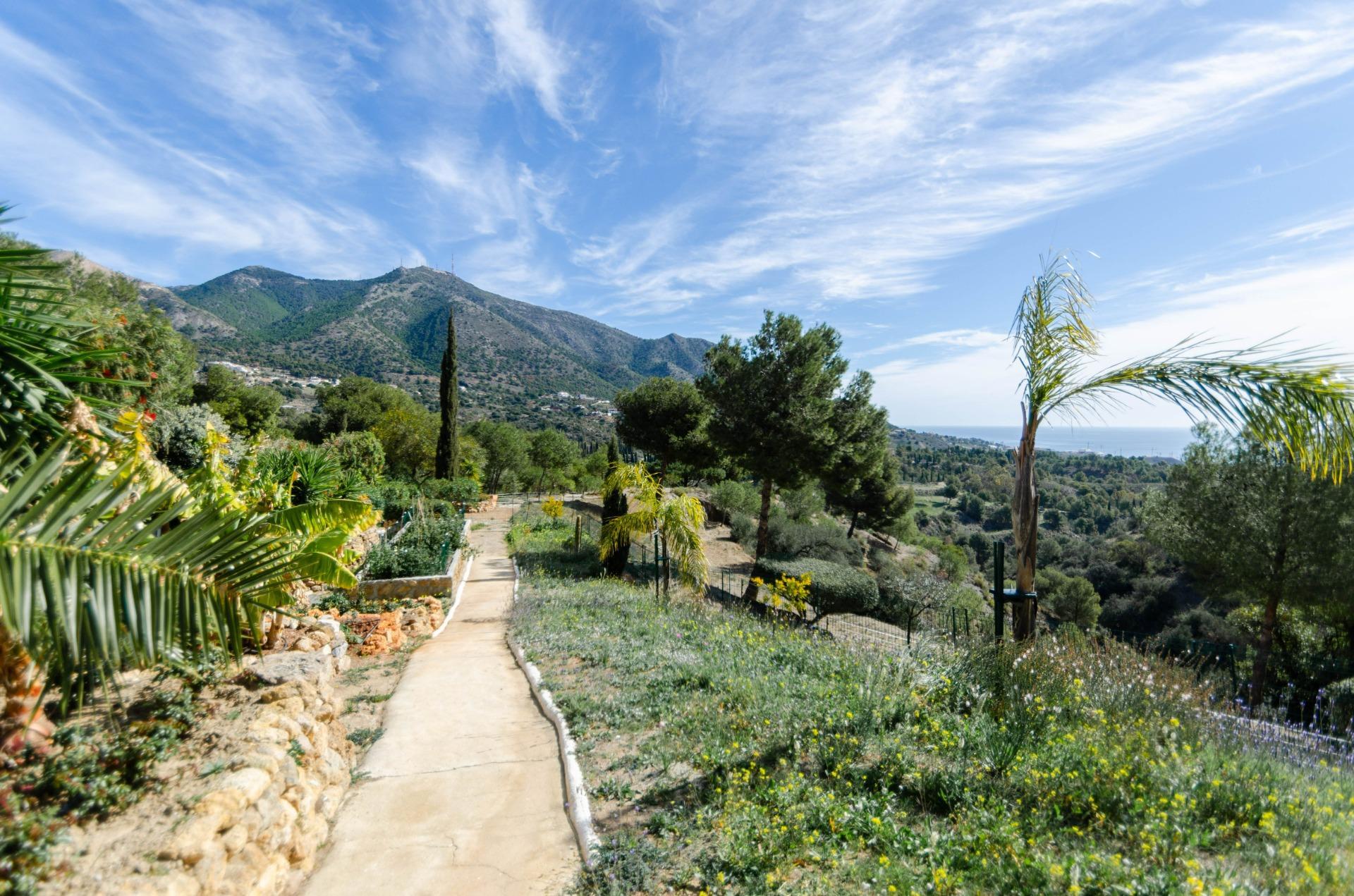 Casas o chalets-Venta-Mijas-1064391-Foto-73