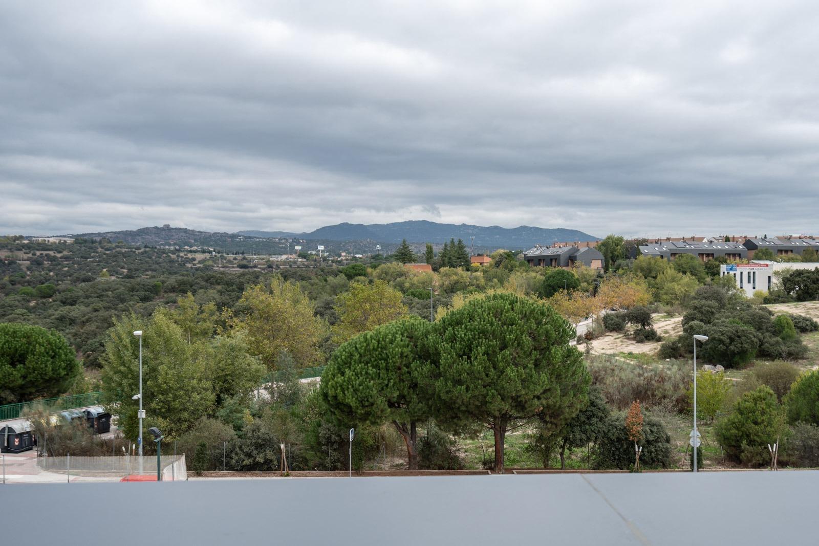 Casas o chalets-Venta-Las Rozas de Madrid-1438861-Foto-74