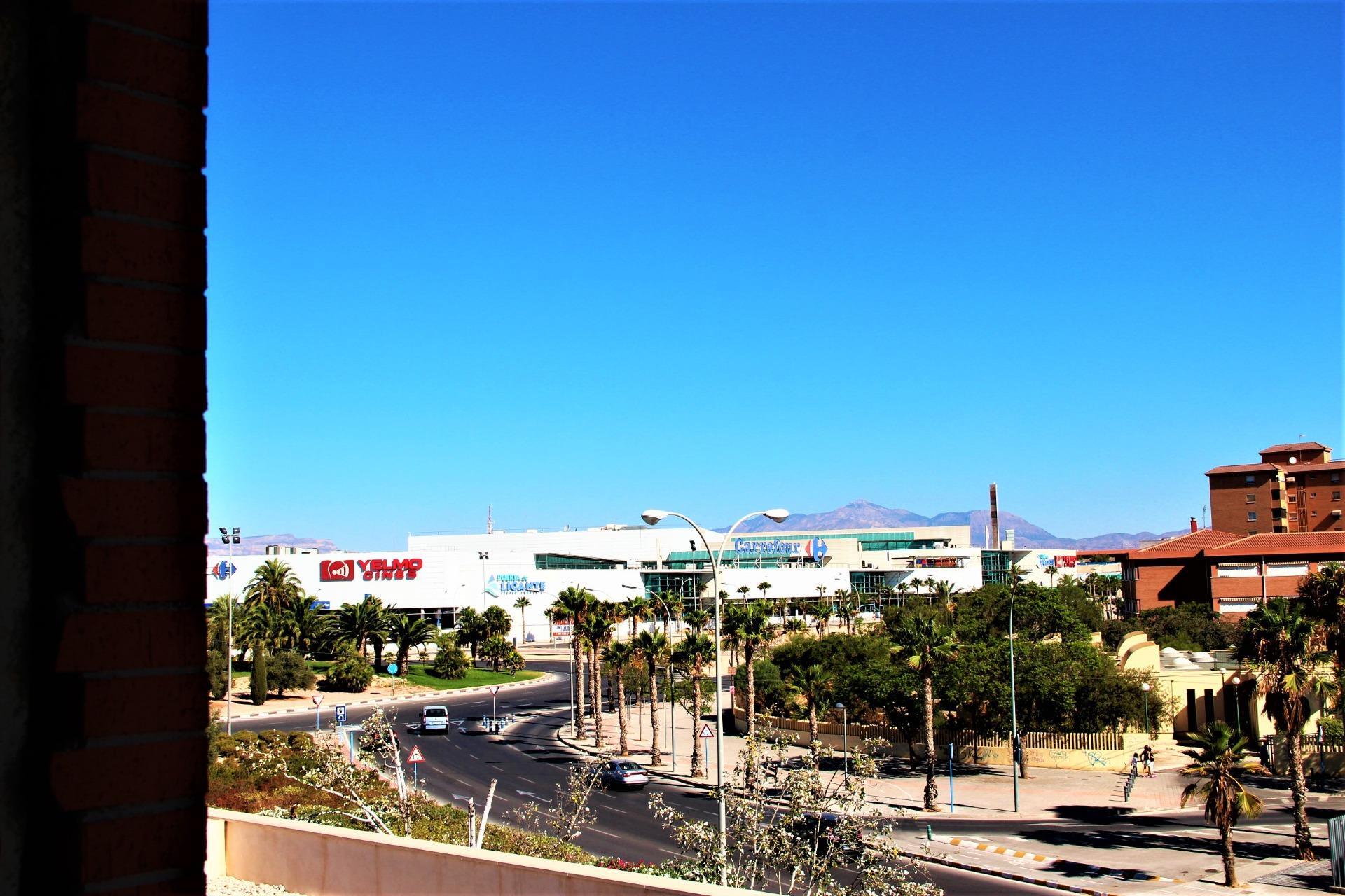 Fincas y solares-Venta-Alicante-1480147