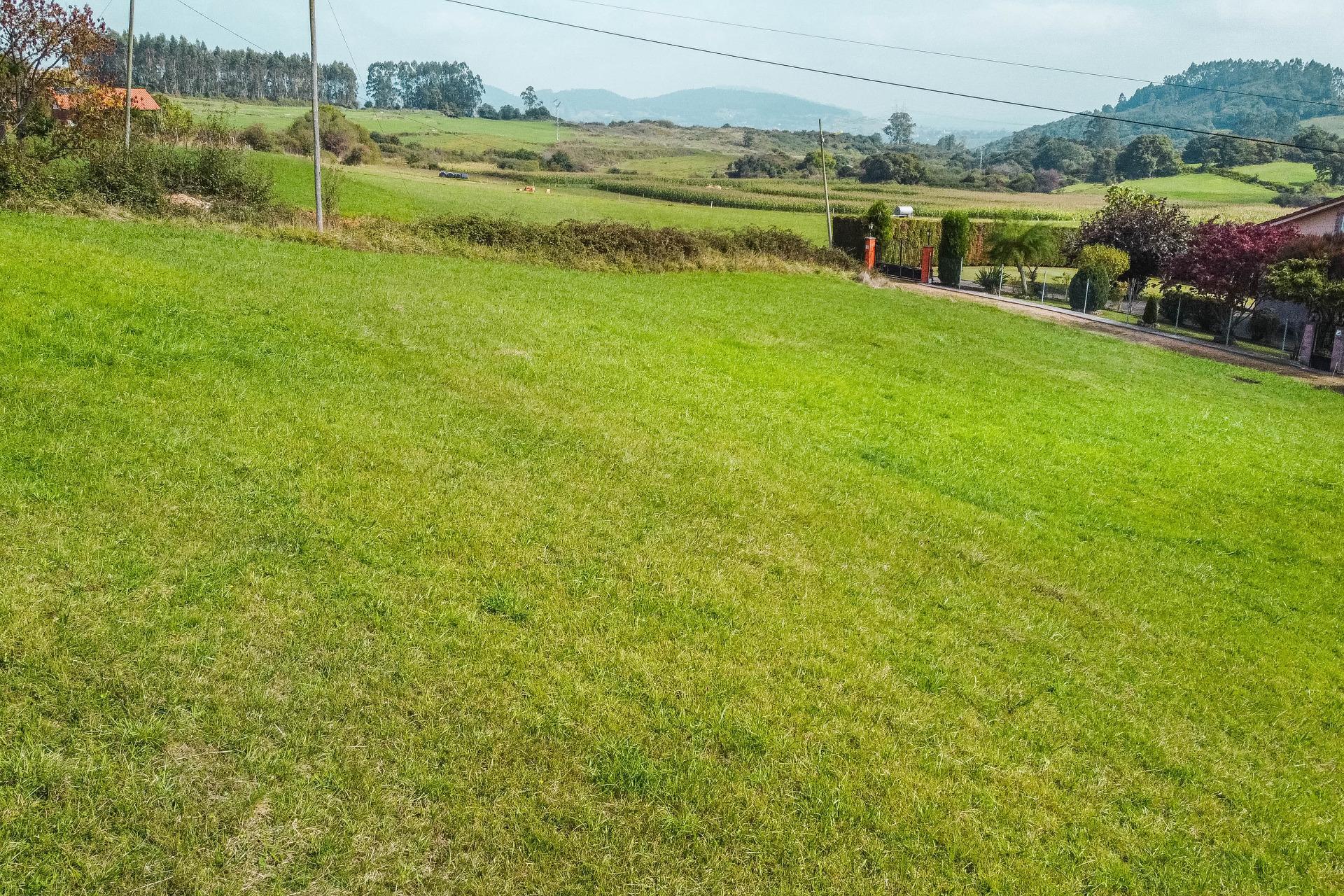 Fincas y solares-Venta-Las Regueras-1746733-Foto-6